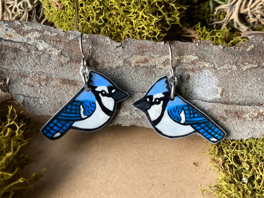 Blue Jay Handmade Unique Bird Earrings Birding Birdwatcher Gift