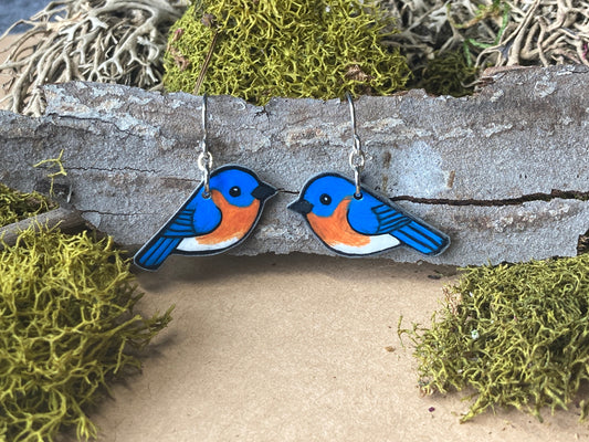 Eastern Bluebird Handmade Unique Bird Earrings Birding Birdwatcher Gift