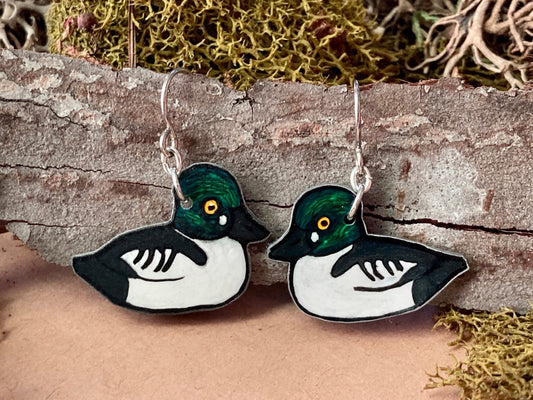 Common Goldeneye Duck Earrings