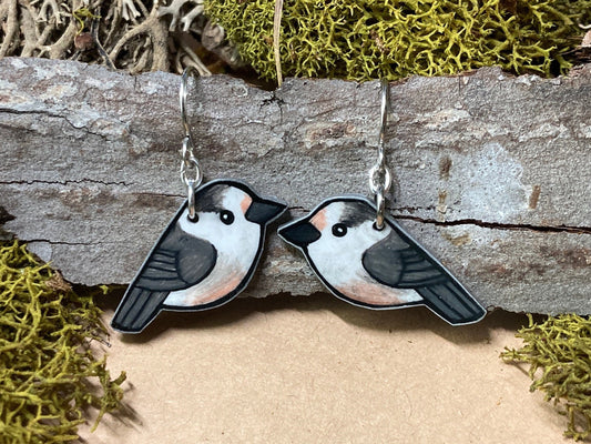 Gray Jay Canada Jay Handmade Unique Bird Earrings Birding Birdwatcher Gift