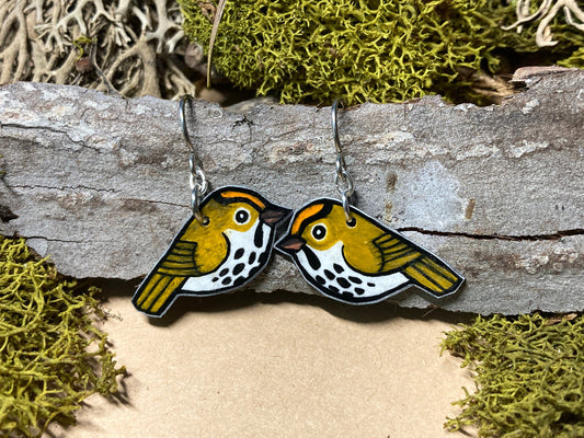 Ovenbird Earrings, Hand-Drawn Bird Earrings, Hypoallergenic Steel