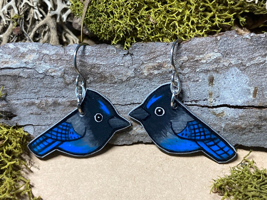 Steller's Jay Earrings: Hand-Drawn Bird Art Jewelry