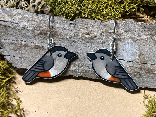 Gray catbird Handmade Unique Bird Earrings Birding Birdwatcher Gift