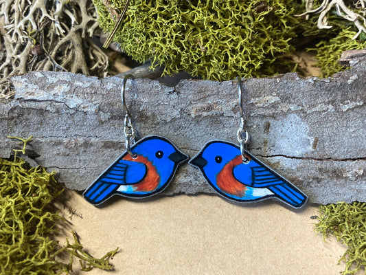 Western Bluebird Handmade Unique Bird Earrings Birding Birdwatcher Gift