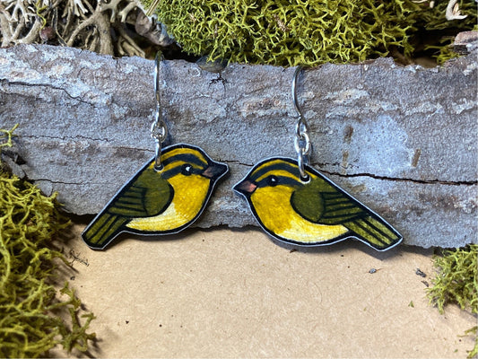 Worm eating Warbler Handmade Unique Bird Earrings Birding Birdwatcher Gift