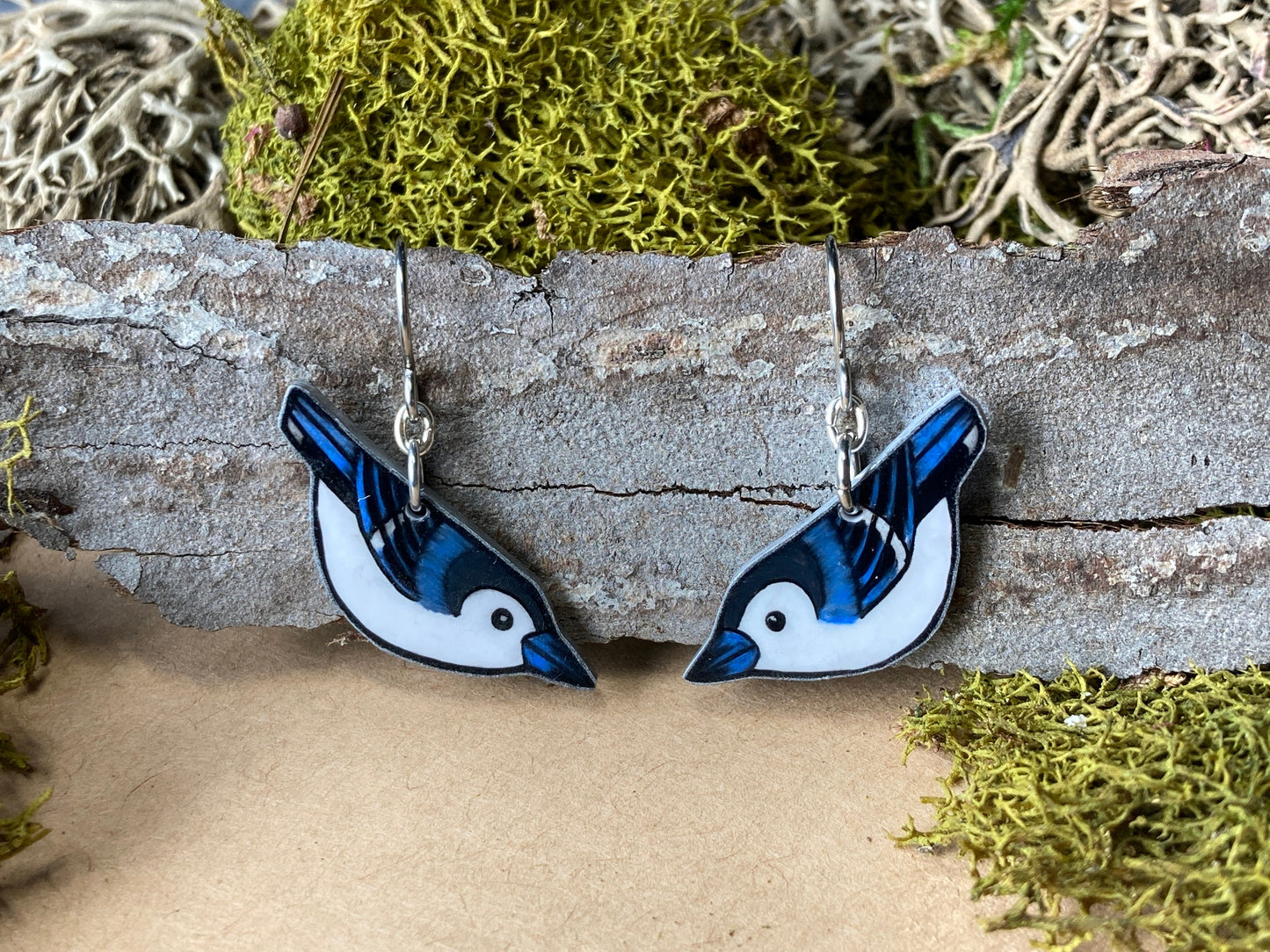 White Breasted Nuthatch Handmade Unique Bird Earrings Birding Birdwatcher Gift
