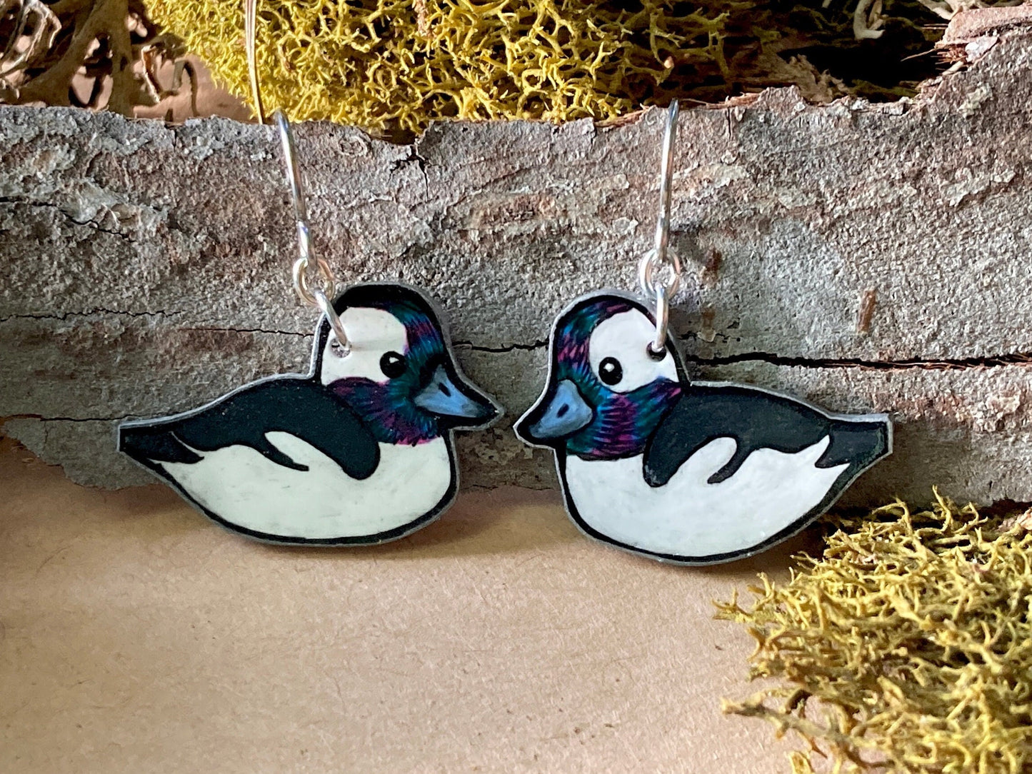 Bufflehead Duck Earrings