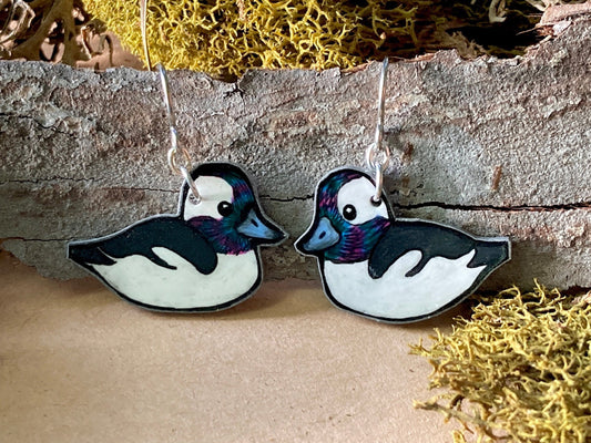 Bufflehead Duck Earrings
