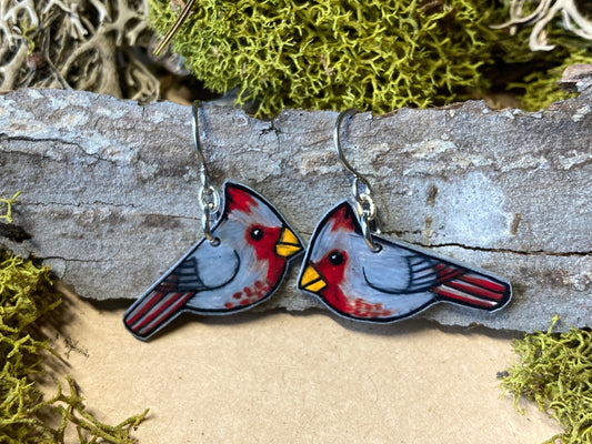 Pyrrhuloxia Handmade Unique Bird Earrings Birding Birdwatcher Gift