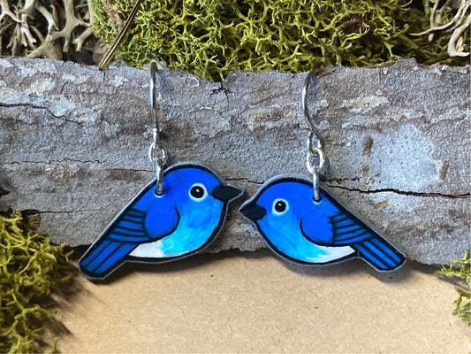 Mountain Bluebird Handmade Unique Bird Earrings Birding Birdwatcher Gift