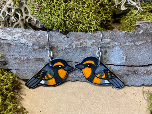 Varied Thrush Handmade Unique Bird Earrings Birding Birdwatcher Gift